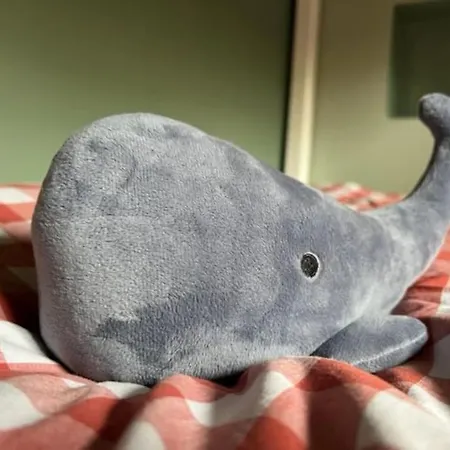 Hébergement de vacances Maison Les Géraniums Mers-les-Bains