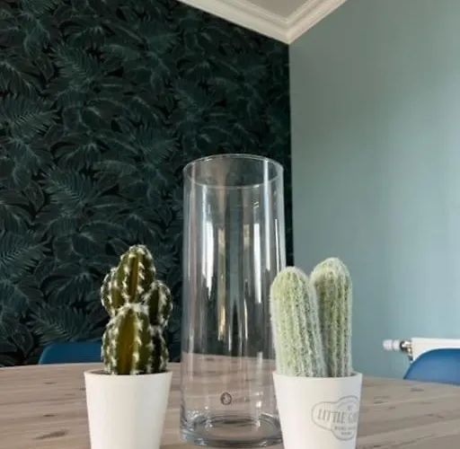 Maison Les Geraniums メール・レ・バン