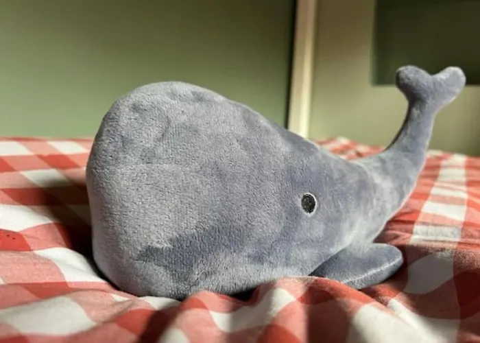 Hébergement de vacances Maison Les Géraniums Mers-les-Bains