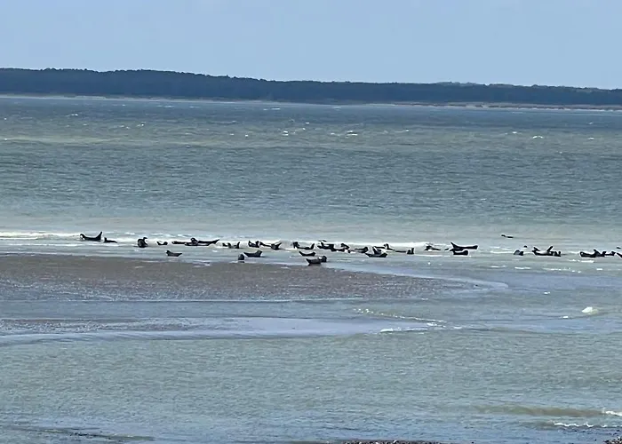 Maison Les Geraniums *