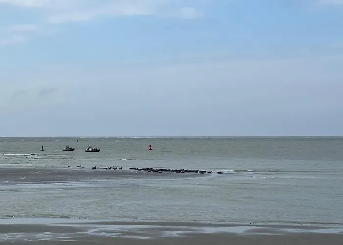 Hébergement de vacances Maison Les Géraniums *